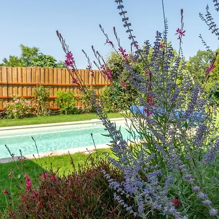 Villa Mas Mayflower Cabrieres-d'Avignon